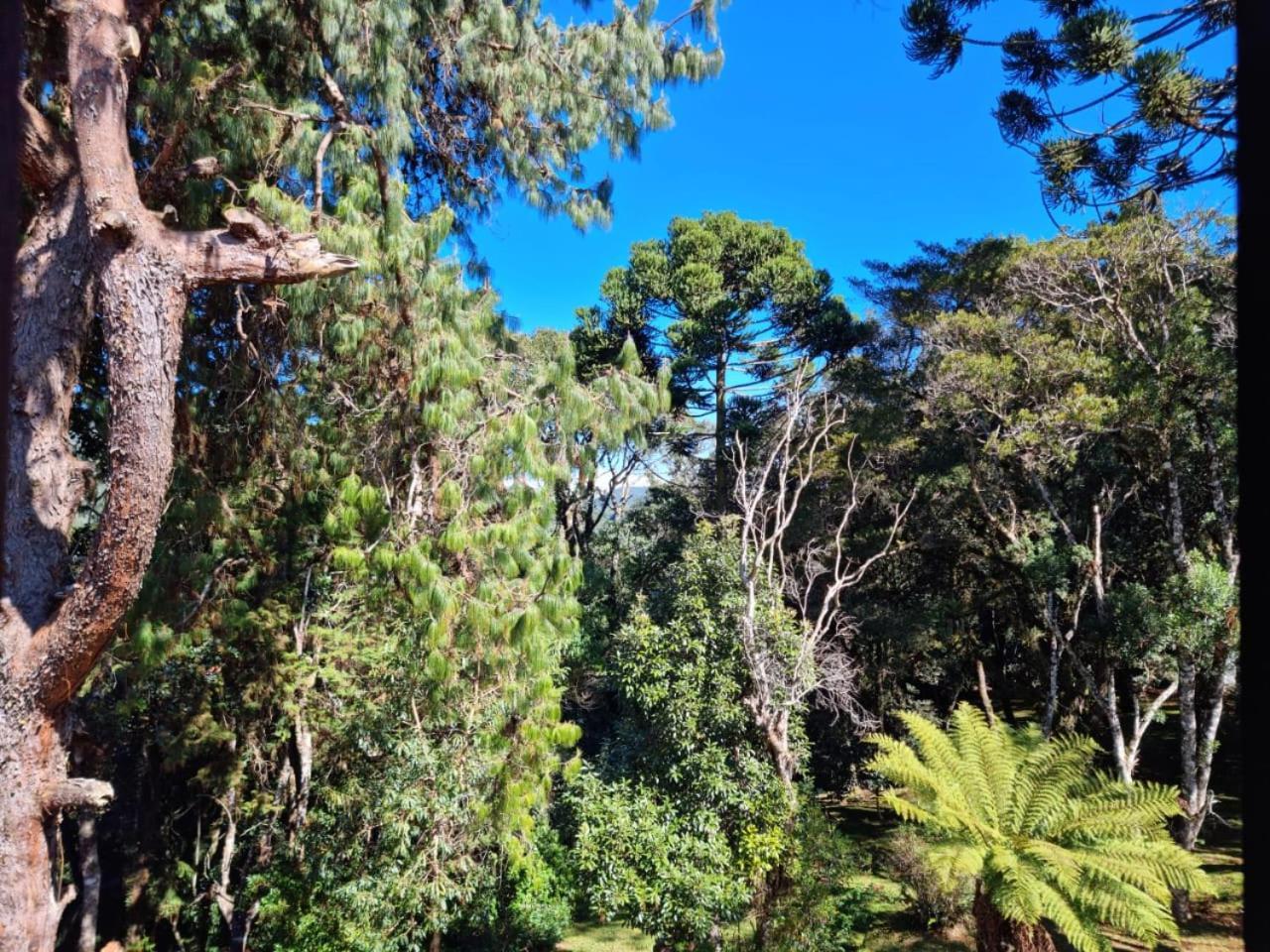 Pousada Brisa Da Mantiqueira Hotell Monte Verde  Exteriör bild